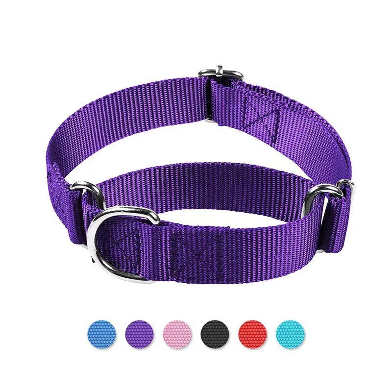 Adjustable nylon explosion-proof pet collar in blue with hand-holding rope for cats and dogs