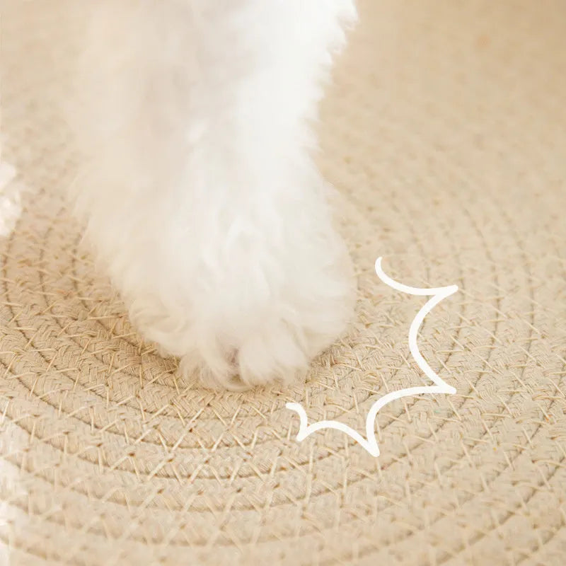 Green oval cat scratch pad bowl measuring 650mm serving as scratching board and cat bed