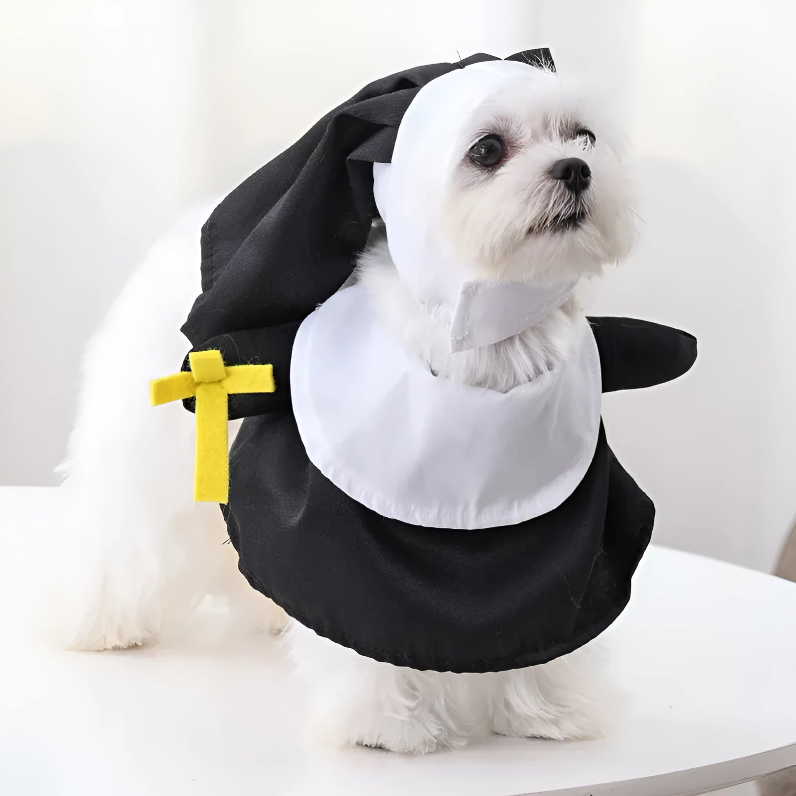 Black polyester nun costume for cats and dogs, free size, Halloween pet dress-up