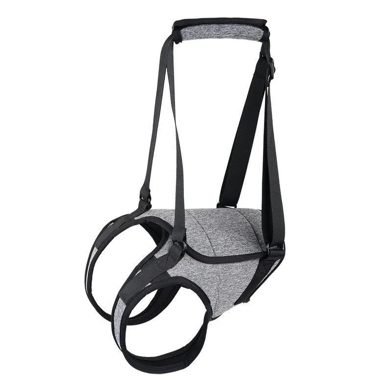 Grey adjustable neoprene dog rear leg recovery belt for hind leg support and mobility assistance