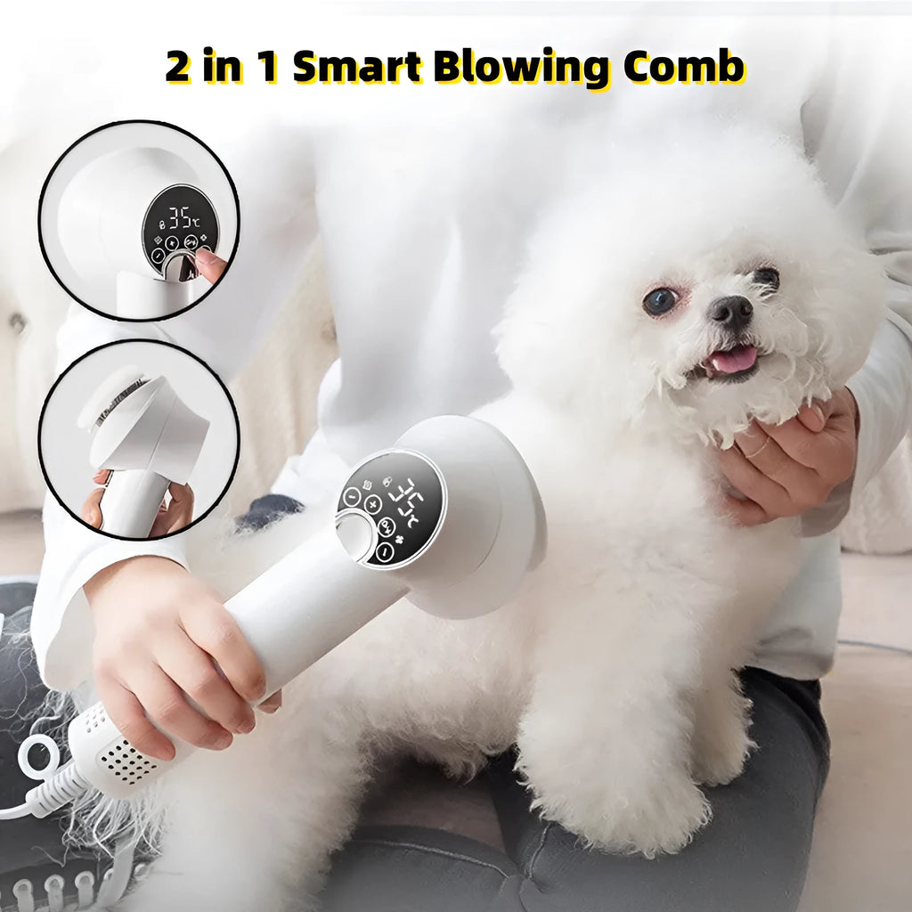 Smart pet hair dryer 300W in Simple White with comb attachment for dog grooming