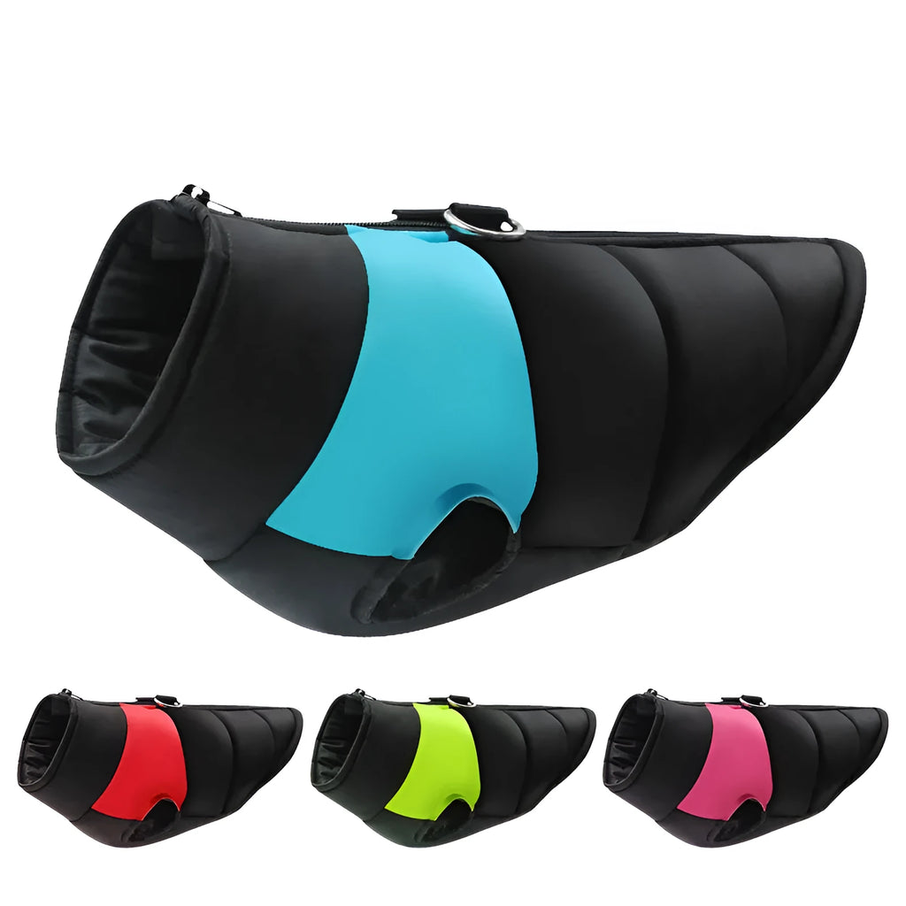 Winter dog padded vest waterproof zipper jacket in black red on a dog