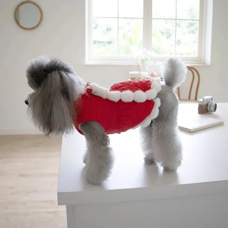 Red cotton pet coat with fur collar and Chinese knot detail for autumn and winter