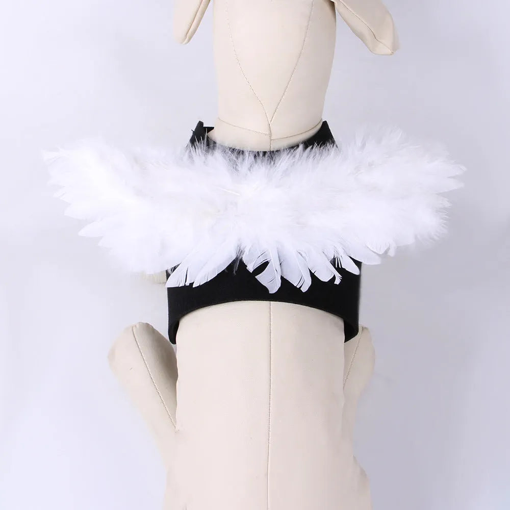 Halloween angel wings pet costume on a dog, chest-back felt cloth design, available in black or white, sizes S M L