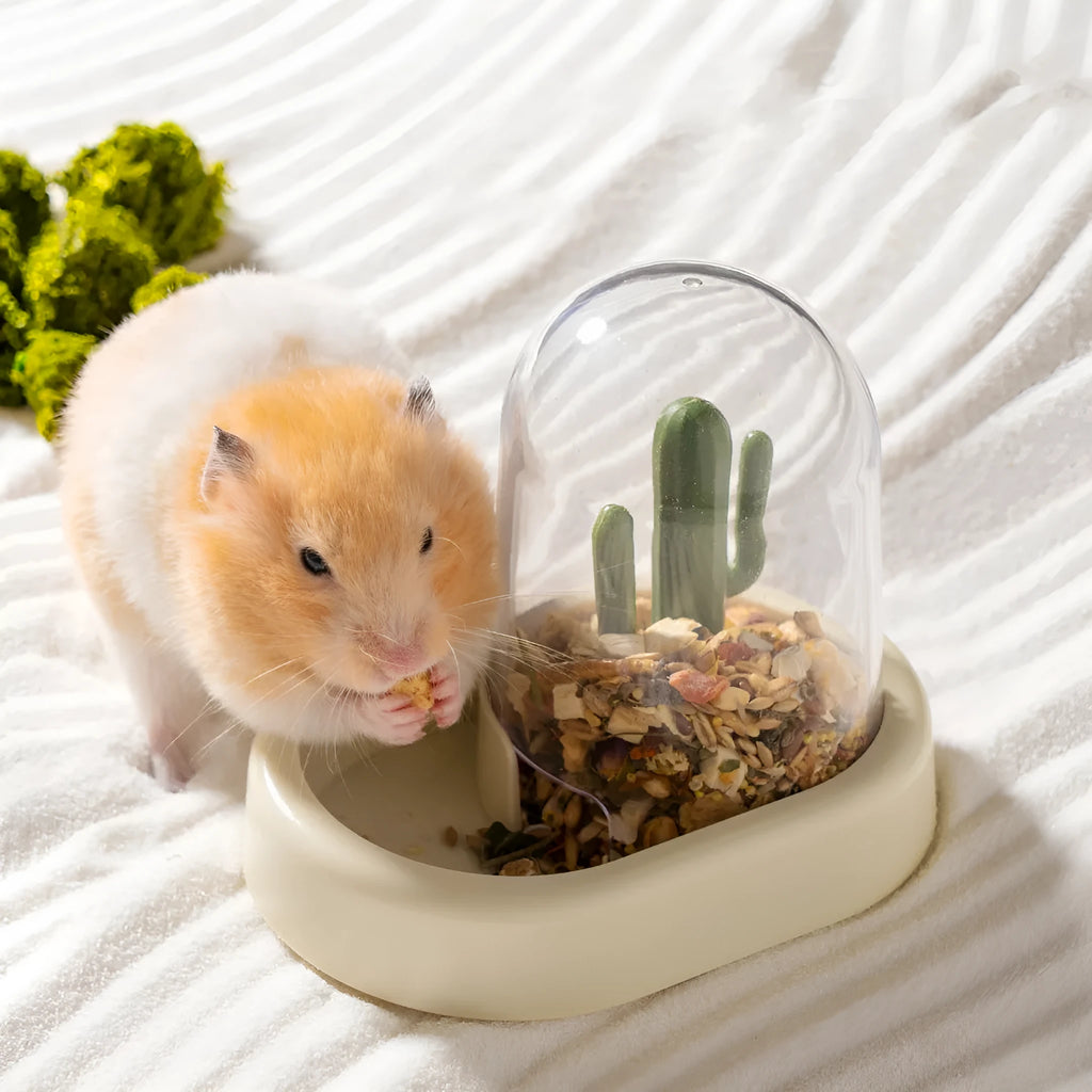 Home Hamster Creative Cactus Automatic Feeder in vanilla warm yellow with 190ml transparent grain storage