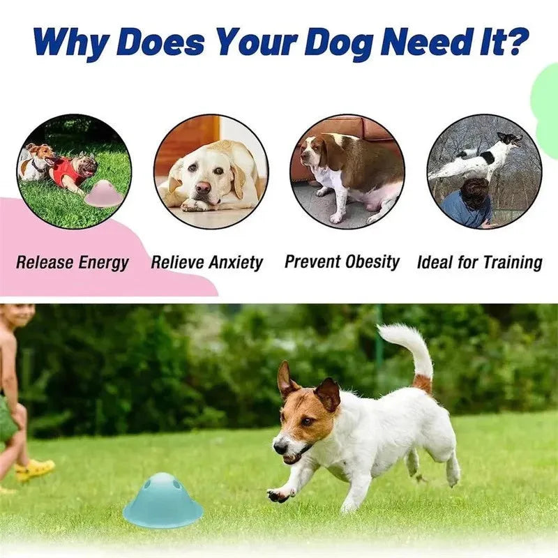 New green dog chew toy with hidden treat slot on smooth floor – interactive puzzle for large breeds, 140 mm PP material