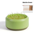 Blue hydroponic cat grass kit with soilless cup and five seed packs for indoor pets