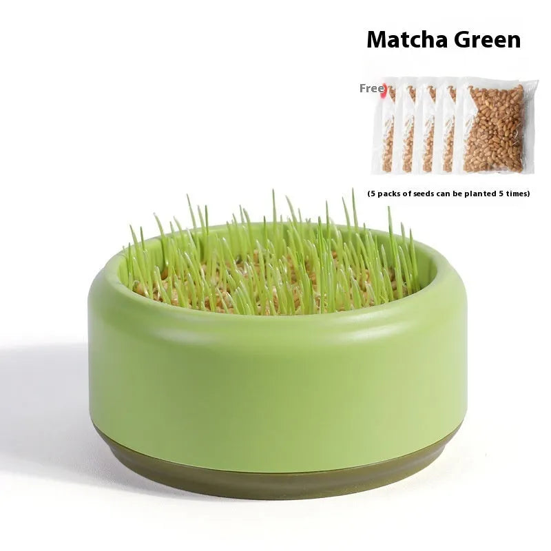 Blue hydroponic cat grass kit with soilless cup and five seed packs for indoor pets