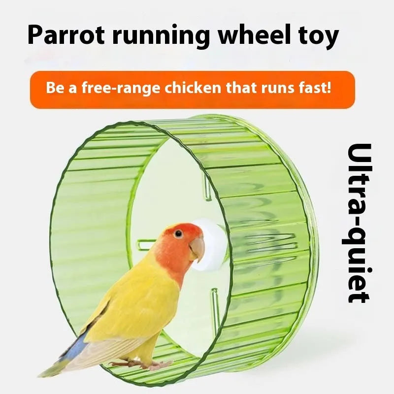 Plastic bird running wheel exercise toy for parrots in multiple colours and sizes