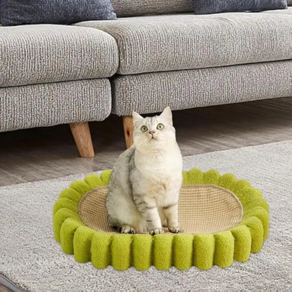 Green oval cat scratch pad bowl measuring 650mm serving as scratching board and cat bed