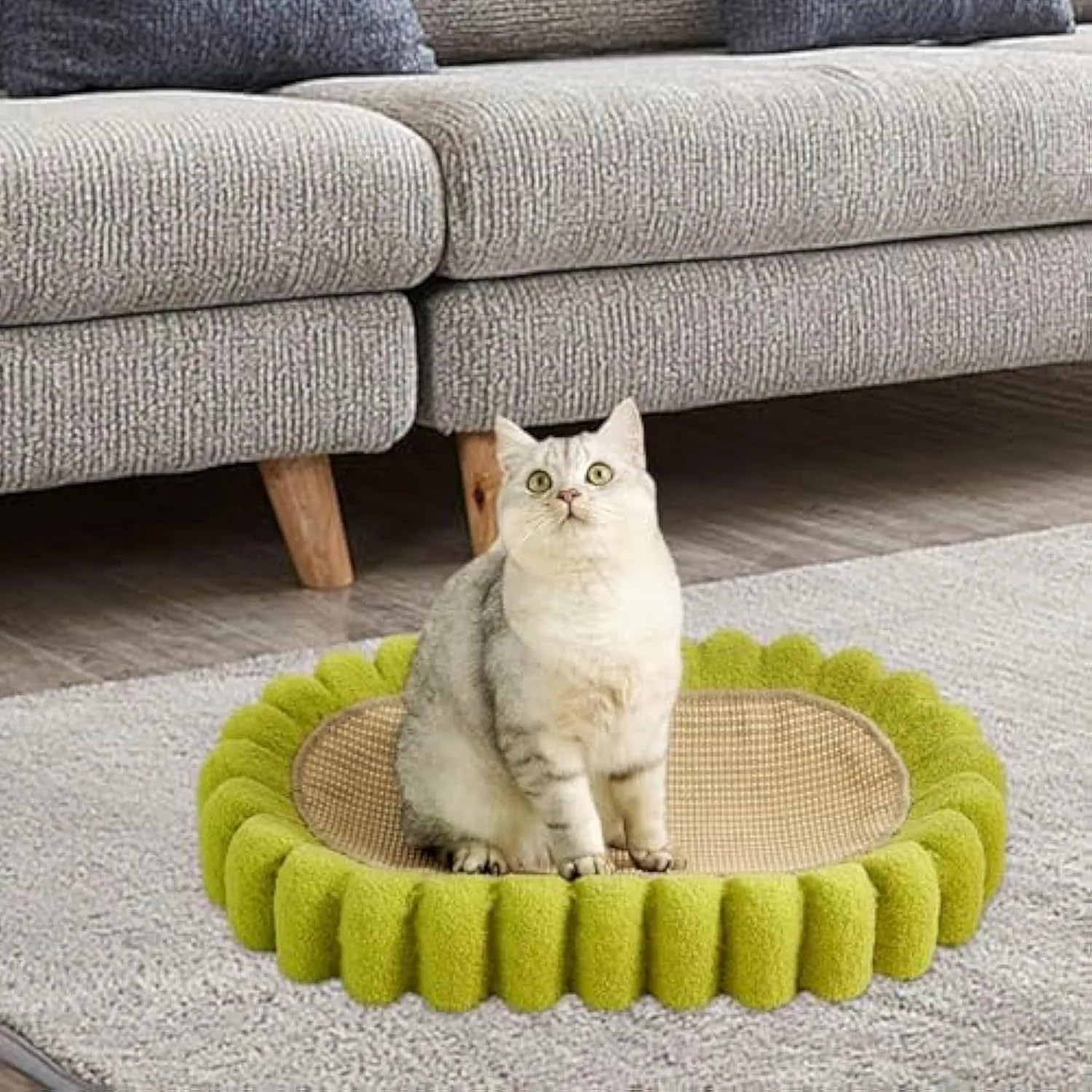 Green oval cat scratch pad bowl measuring 650mm serving as scratching board and cat bed