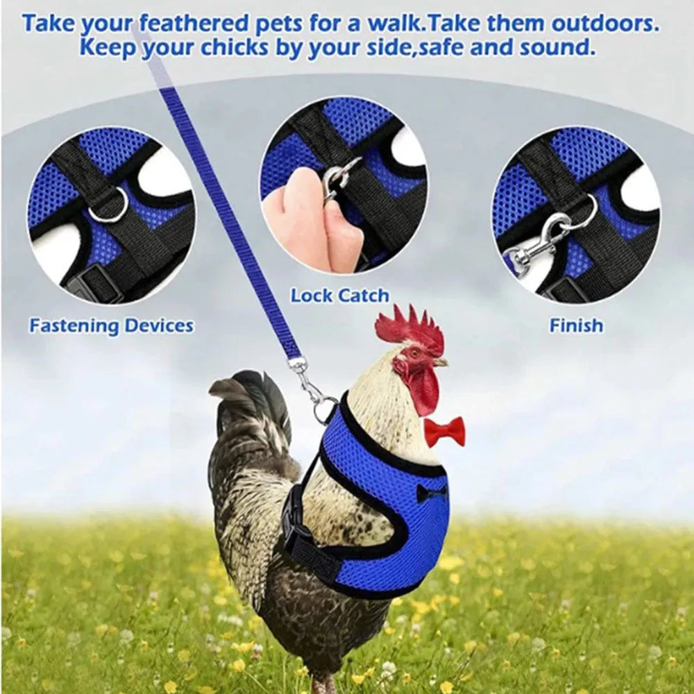 Adjustable poultry vest harness for chickens ducks in black with matching collar bow and 110 cm traction rope
