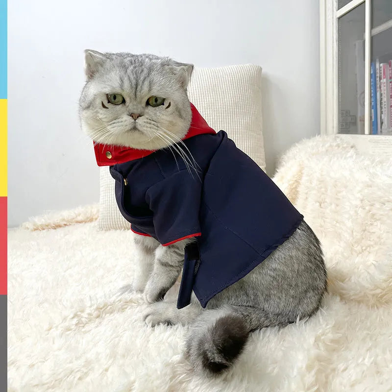 Tiger Staff Yuren coloured hoodie photography prop for cats and dogs on mannequin