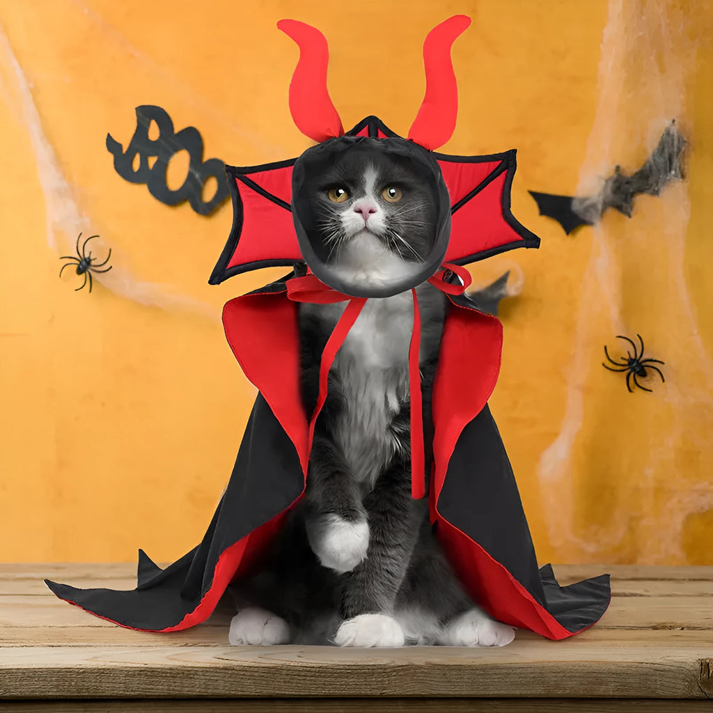 Black vampire cloak and hat costume set on a dog or cat for Halloween.