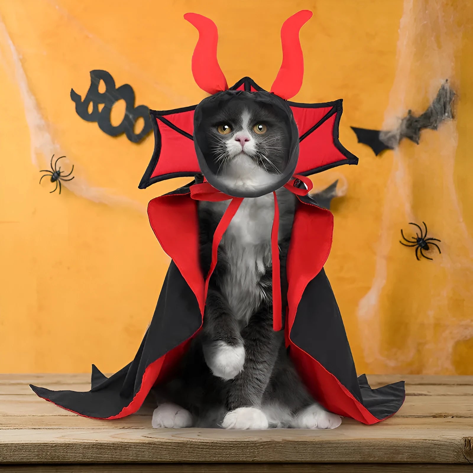 Black vampire cloak and hat costume set on a dog or cat for Halloween.