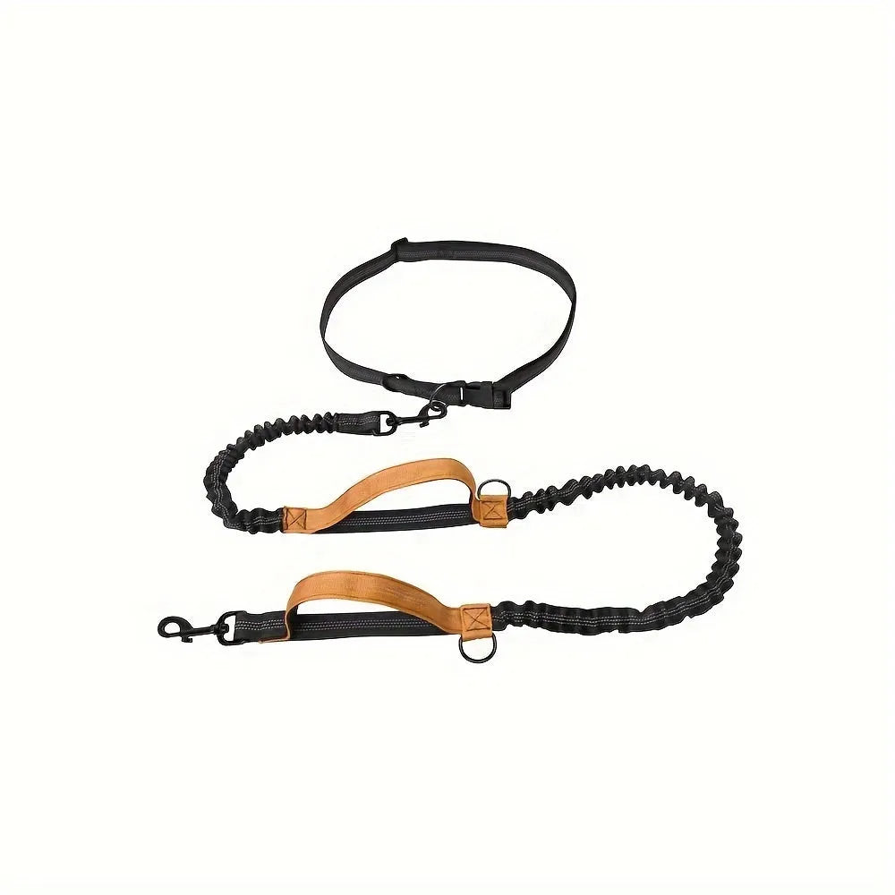 Hands-free dog leash made of durable nylon with adjustable waist belt, for running or walking with an active dog