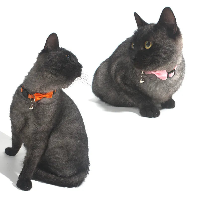 Striped adjustable nylon cat collar with bell in multiple colour options