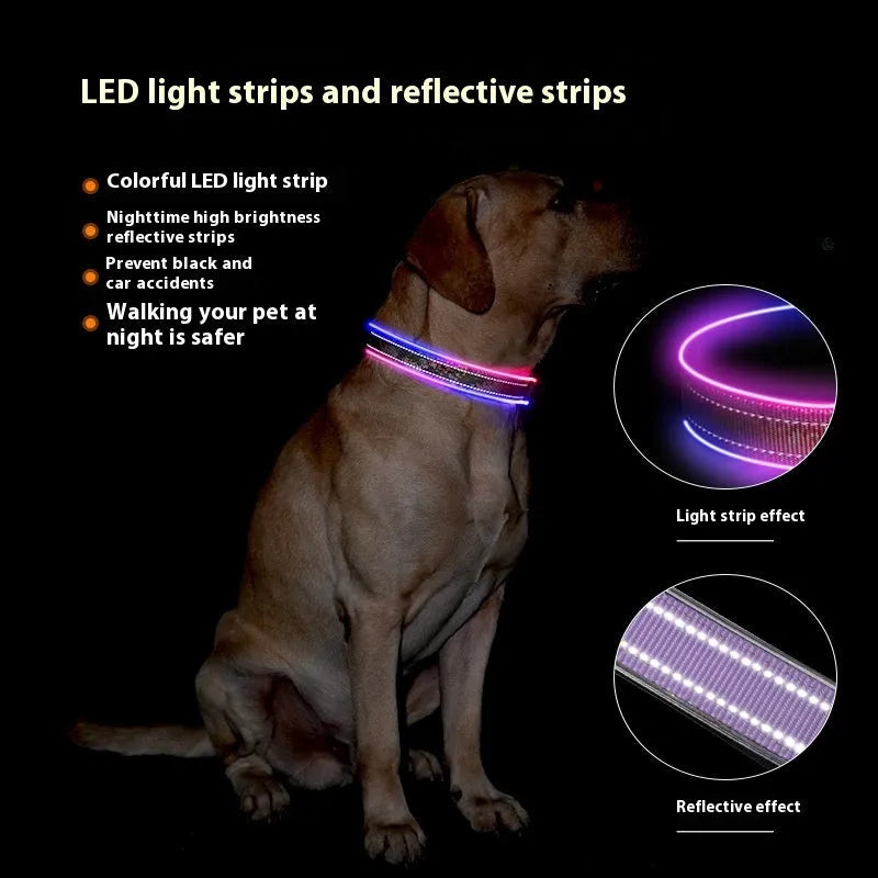 LED USB rechargeable dog collar in blue green plaid with reflective stripe, shown on a dog's neck.