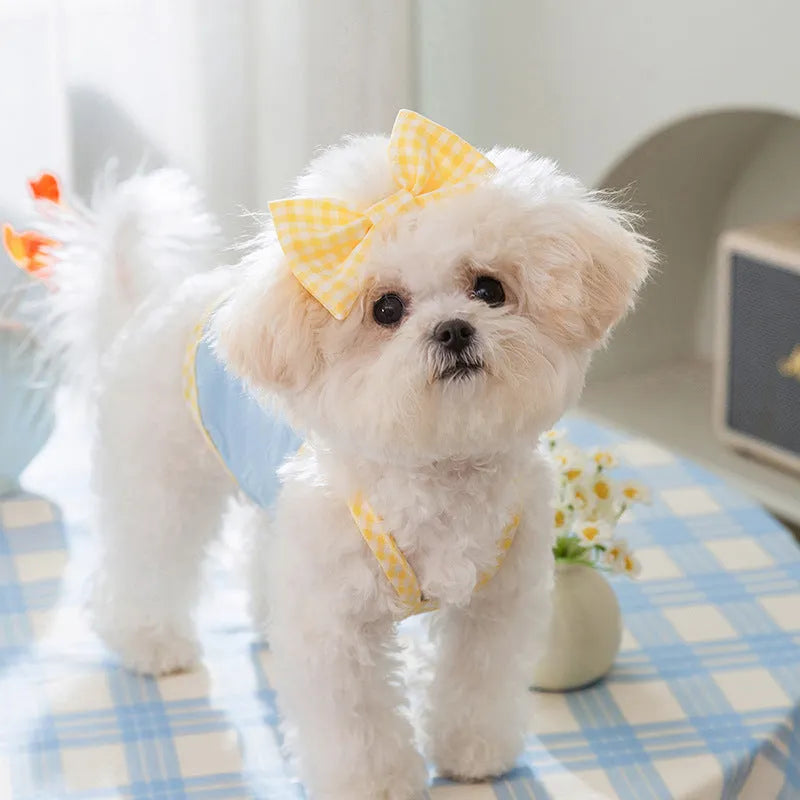 Small dog wearing heart texture vest with bow suspenders in blue colour