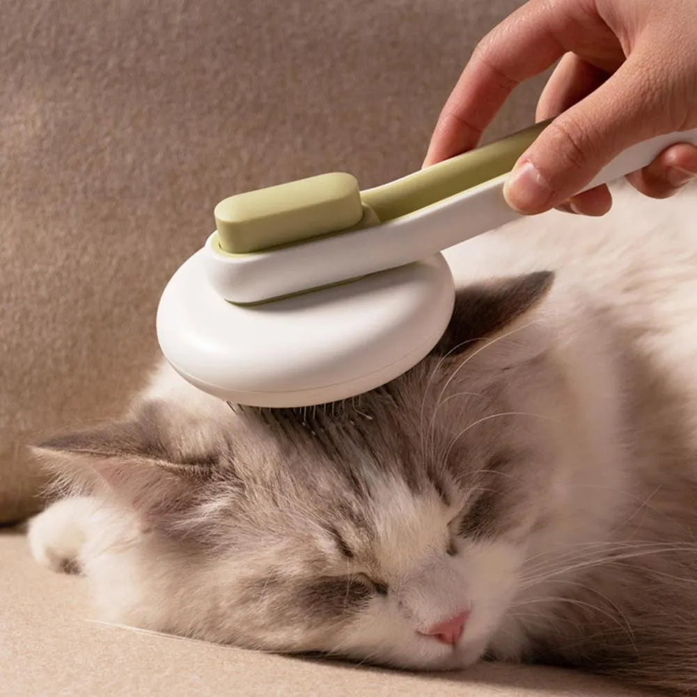 Pet grooming comb with stainless steel teeth, automatic massage, and one-button hair release in blue green and pink