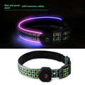 LED USB rechargeable dog collar in blue green plaid with reflective stripe, shown on a dog's neck.