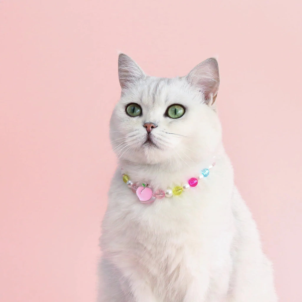 Colourful plastic bead pet necklace for dogs and cats in small flower, rainbow, or peach patterns.